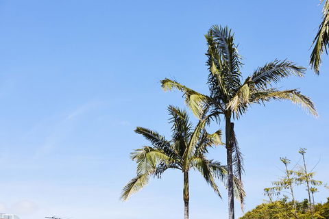 Town And Country Motel - Accommodation Resorts 1