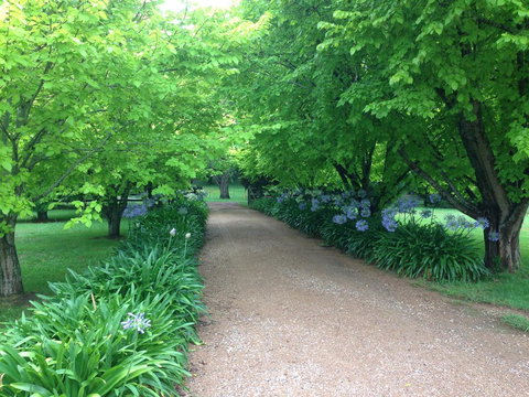 Toscana On Greenhills - Accommodation Resorts 1