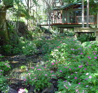 Treetops Montville - Accommodation Resorts