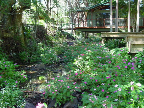 Treetops Montville - Accommodation Resorts 0