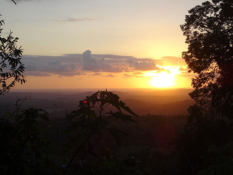 Treetops Montville - Accommodation Resorts 3