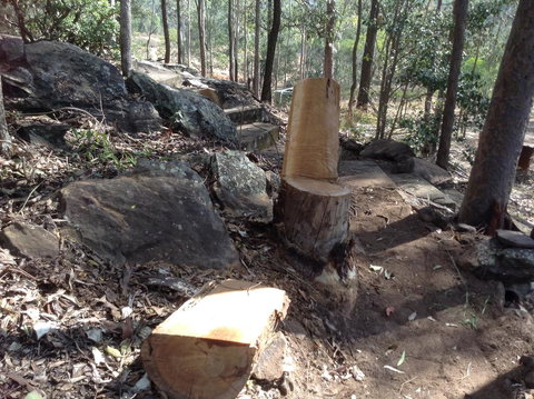 Twilight Grove Farm - Accommodation Resorts 3