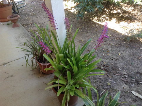 Twilight Grove Farm - Accommodation Resorts 2