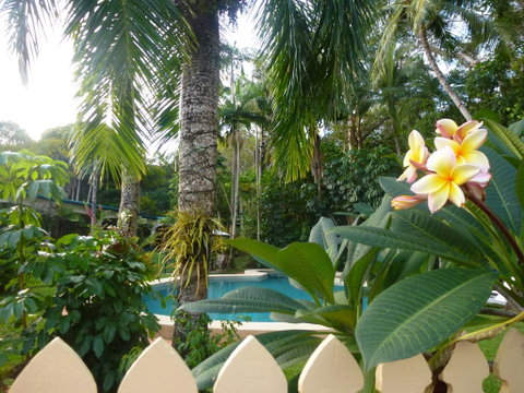 Villa Marine Holiday Apartments Cairns - Accommodation Resorts 1