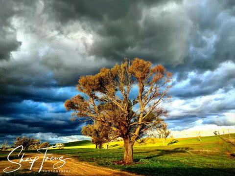 Wantana Cottage Farmstay - Accommodation Resorts 2