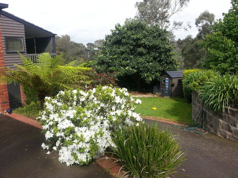 Warrandyte Retreat Guest House - Accommodation Resorts 0