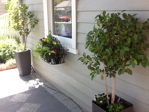 Redruth Cottage - Accommodation Resorts 19