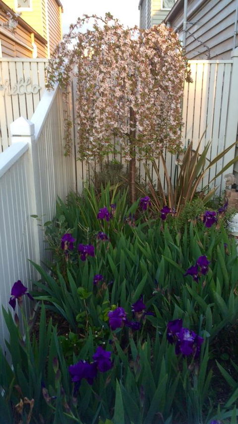 Redruth Cottage - Accommodation Resorts 24