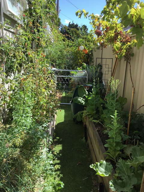 Redruth Cottage - Accommodation Resorts 7