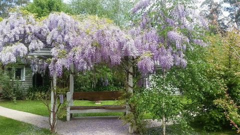 Amelina Cottages - Accommodation Resorts 0