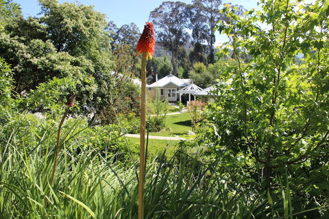 Amelina Cottages - Accommodation Resorts 23