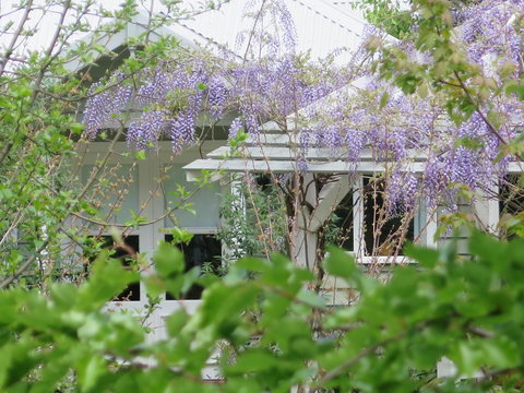 Amelina Cottages - Accommodation Resorts 5