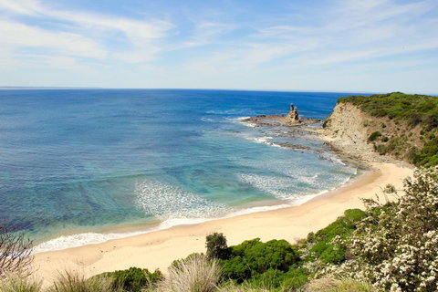 Perfect For Family Fun - Accommodation Resorts 10