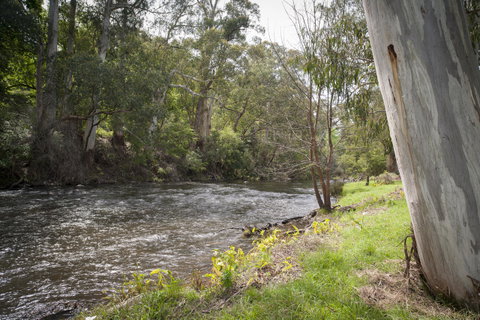 Oscar\'s On The Yarra - Accommodation Resorts 23
