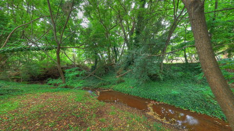 Aspens Springs Farmstay - Accommodation Resorts 21