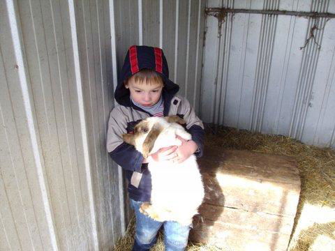 Aspens Springs Farmstay - Accommodation Resorts 28