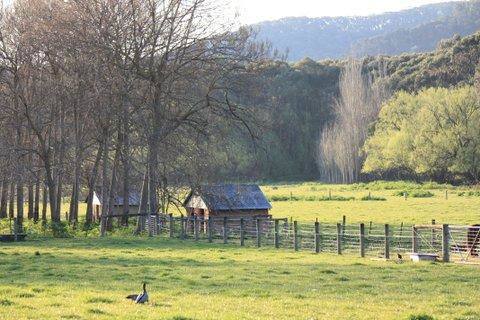 Aspens Springs Farmstay - Accommodation Resorts 25