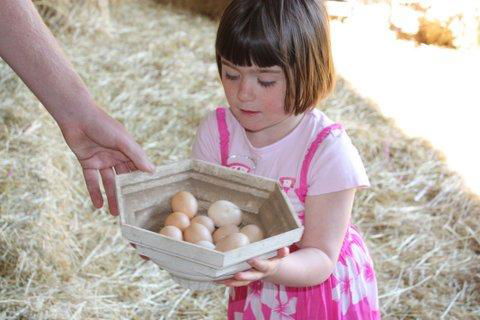 Aspens Springs Farmstay - Accommodation Resorts 27