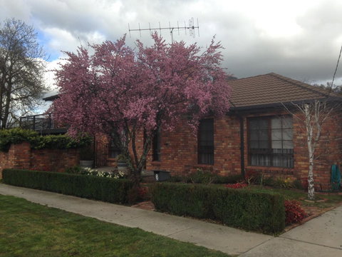 Bricks And Roses - Accommodation Resorts 1