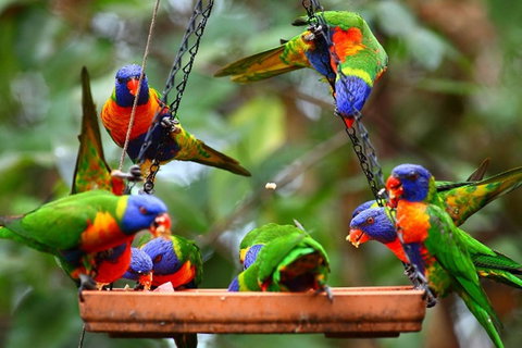 Thala Beach Nature Reserve - Accommodation Resorts 43