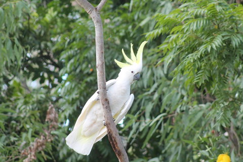 Airlie Beach Eco Cabins - Adults Only - Accommodation Resorts 4