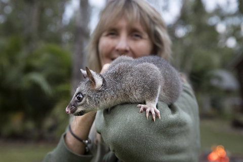 Airlie Beach Eco Cabins - Adults Only - Accommodation Resorts 11