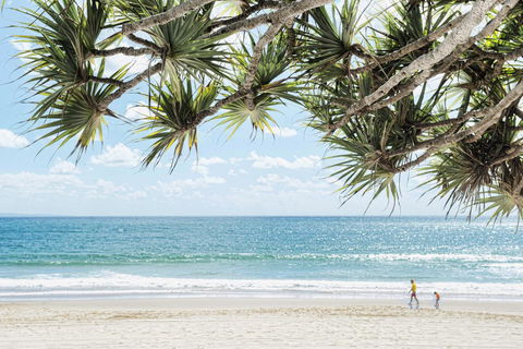 Netanya Noosa Beachfront Resort - Accommodation Resorts 38