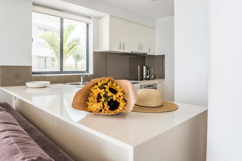 Noosa Pacific Resort - Accommodation Resorts 5