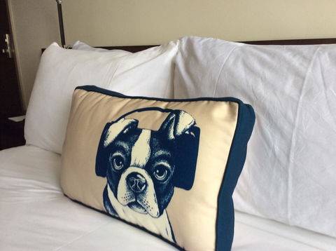 Hyatt Regency Brisbane - Accommodation Resorts 23