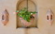 Villa San Michele (Official) - thumb 3