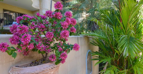 Villa San Michele (Official) - Accommodation Resorts 4