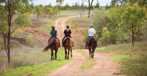 Ironbark House - Accommodation Resorts 22