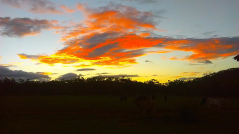 Ironbark House - Accommodation Resorts 32