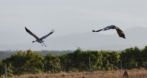 Ironbark House - Accommodation Resorts 35