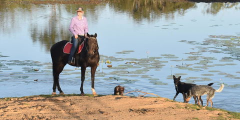 Ironbark House - Accommodation Resorts 39