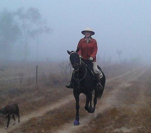 Ironbark House - Accommodation Resorts 37