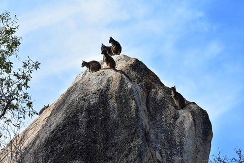 Ironbark House - Accommodation Resorts 38