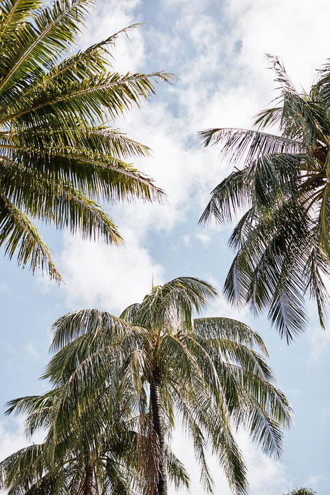 Novotel Cairns Oasis Resort - Accommodation Resorts 9