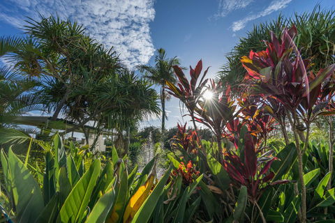Currumbin Sands On The Beach - Accommodation Resorts 9