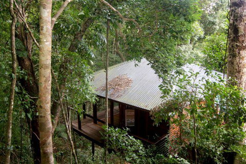 Cairns Rainforest Retreat - Accommodation Resorts 0