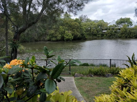 Waterfront Theme Park Getaway - Accommodation Resorts 23