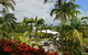 Club Tropical Resort - Official Onsite Reception & Check In - thumb 35