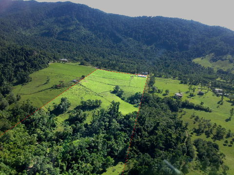 Misty Mountains Rainforest Retreat - Accommodation Resorts 33