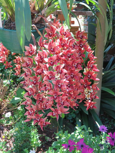 Shasta Place - Accommodation Resorts 9