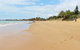 Dune On The Beach - thumb 19