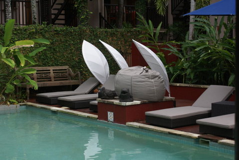 Hibiscus Resort & Spa - Official Onsite Reception & Check In - Accommodation Resorts 26