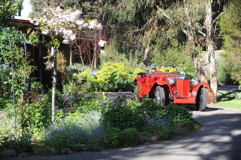 Wintarni Olives Cottage - Accommodation Resorts 1