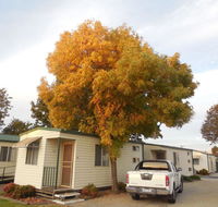 Wodonga Caravan  Cabin Park - Accommodation Resorts