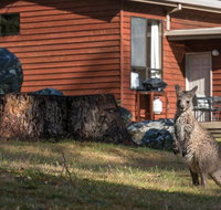 Wonderland Cottages - Accommodation Resorts