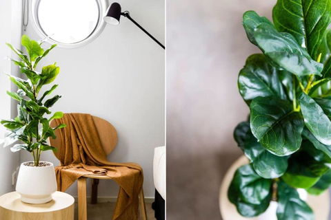 A Stylish 2BR Apt Next To Vic Market FREE Parking - Accommodation Resorts 4